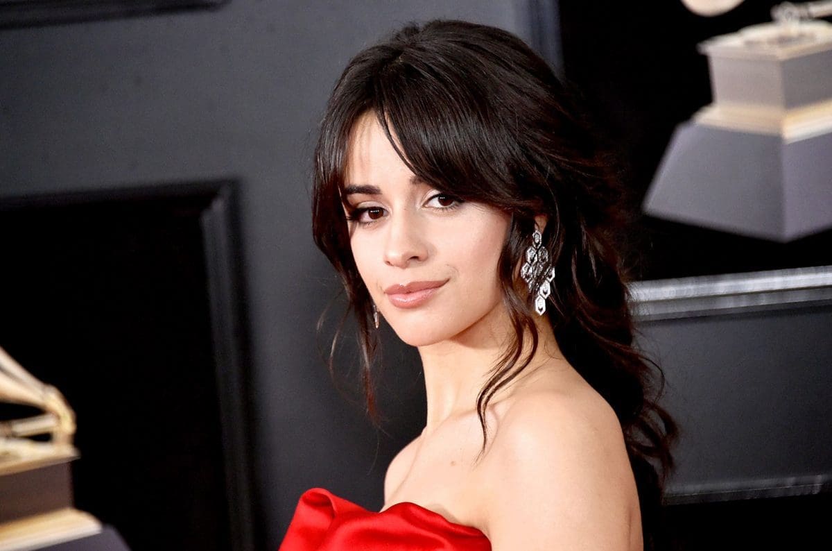 Camila Cabello ricorda gli inizi del suo amore per Shawn Mendes