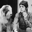 Paul McCartney. Foto: Getty Images