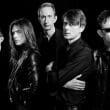 Suede by Dean Chalkley