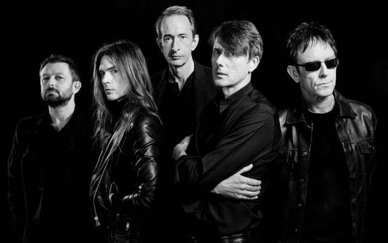 Suede by Dean Chalkley