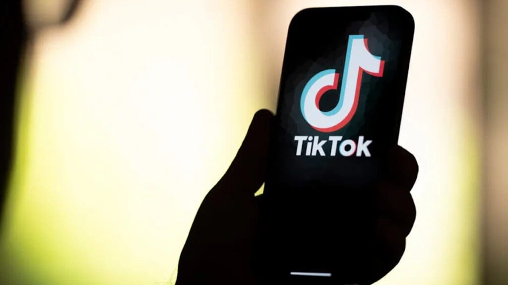 TikTok - foto di Jaap Arriens - NurPhoto via Getty Images
