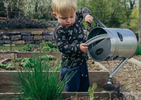 Le migliori canzoni per fare giardinaggio