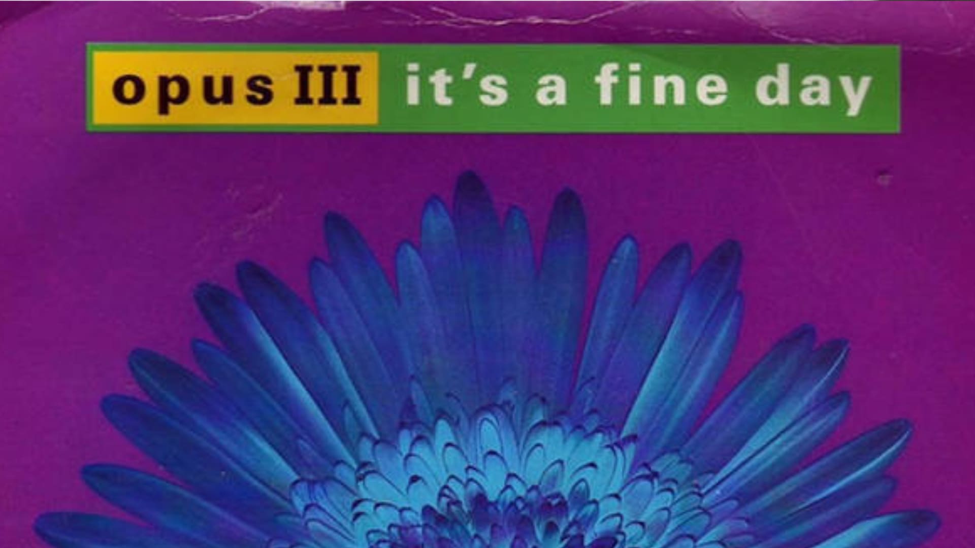 L’incredibile storia di “It’s a Fine Day”, inno rave anni ‘90 che rinasce continuamente