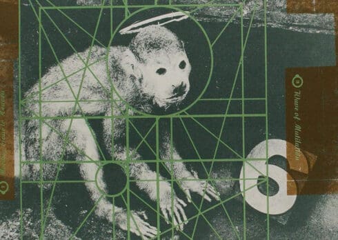 Le 10 canzoni più belle dei Pixies