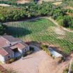 In Sardegna arriva il Vineyard Music Experience