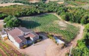 In Sardegna arriva il Vineyard Music Experience