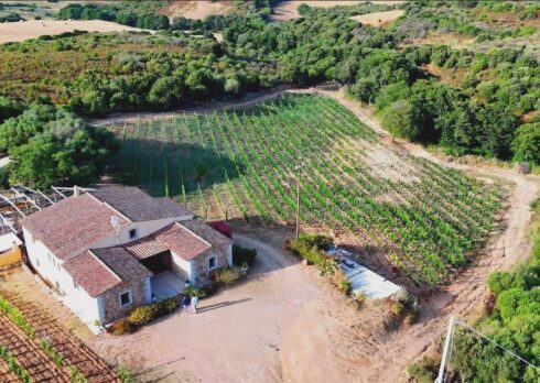 In Sardegna arriva il Vineyard Music Experience