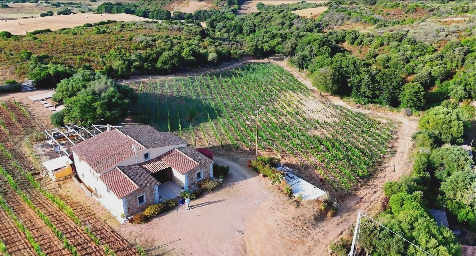 In Sardegna arriva il Vineyard Music Experience