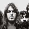 Dear Pink Floyd Experience: ecco di cosa si tratta