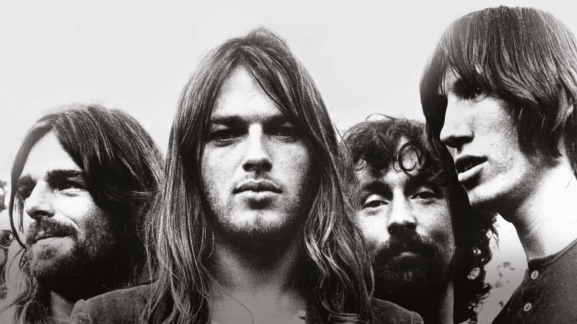 Dear Pink Floyd Experience: ecco di cosa si tratta