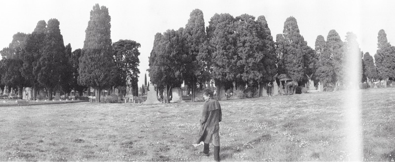 Cassio, Cimitero comunale dei Lupi, Livorno, marzo 2025