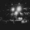 Lasciare andare i vent’anni a un concerto dei Cani 